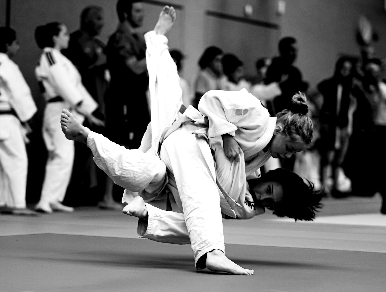 Jiu-Jitsu – Kodokan Olsberg